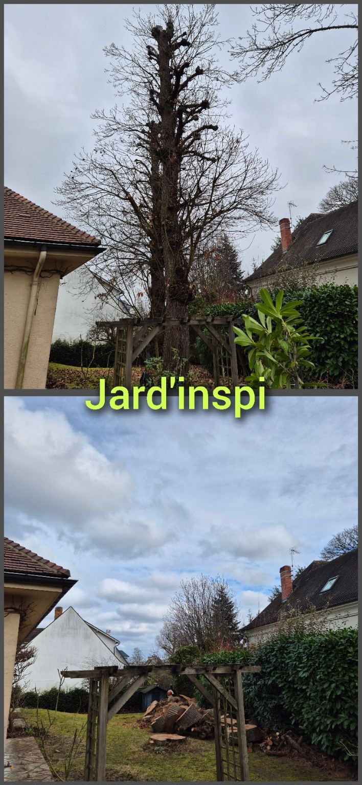 Photo de chantier Jard-inspi dans les Yvelines : élagage, taille, entretien, remise en état