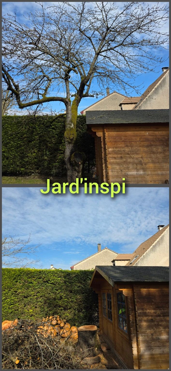 Photo de chantier Jard-inspi dans les Yvelines : élagage, taille, entretien, remise en état