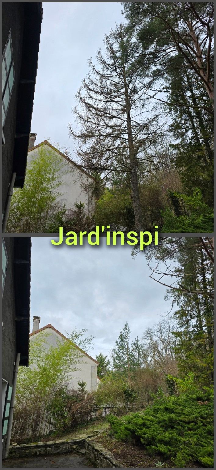 Photo de chantier Jard-inspi dans les Yvelines : élagage, taille, entretien, remise en état