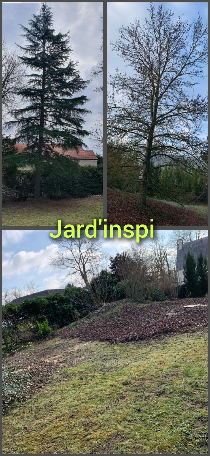 Photo de chantier Jard-inspi dans les Yvelines : élagage, taille, entretien, remise en état