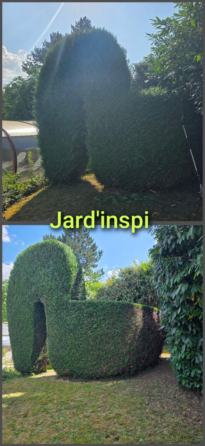 Photo de chantier Jard-inspi dans les Yvelines : élagage, taille, entretien, remise en état
