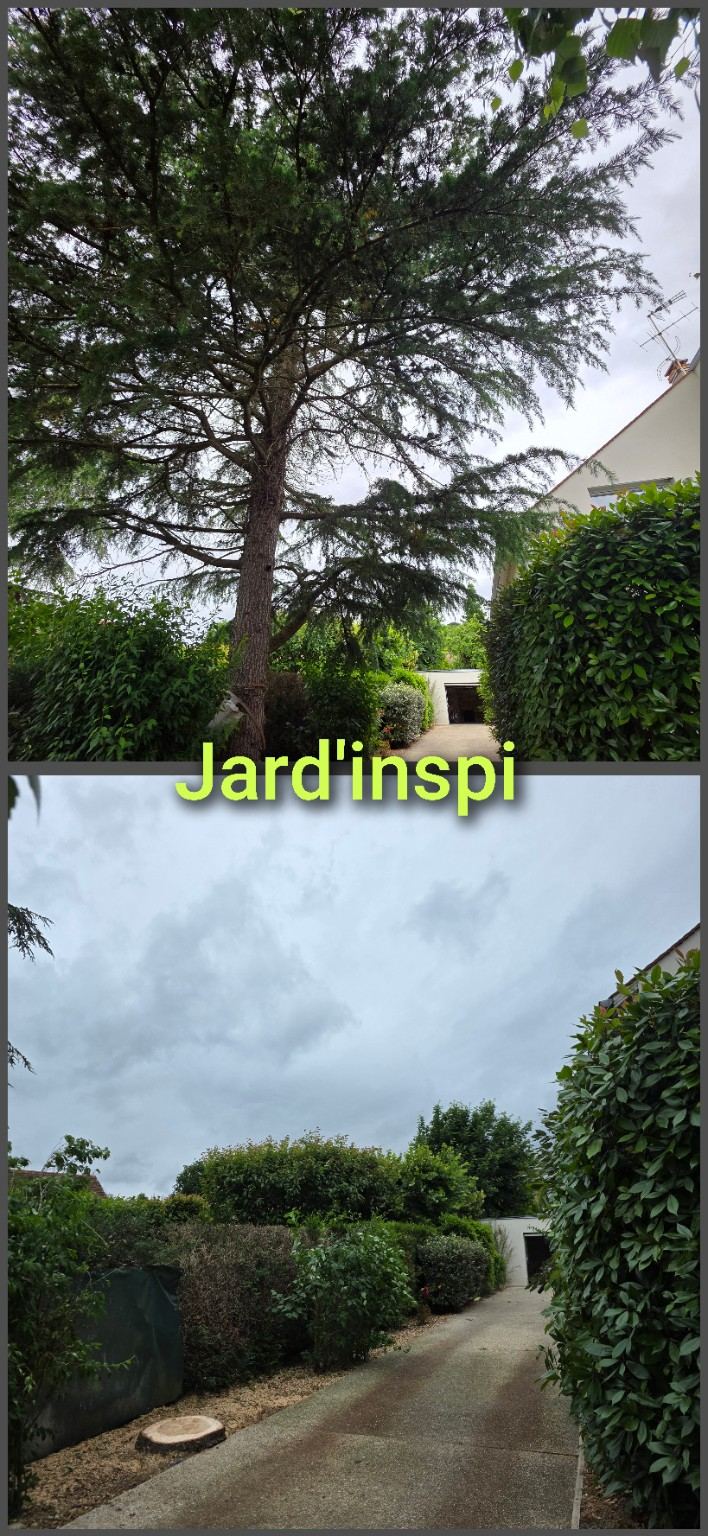 Photo de chantier Jard-inspi dans les Yvelines : élagage, taille, entretien, remise en état