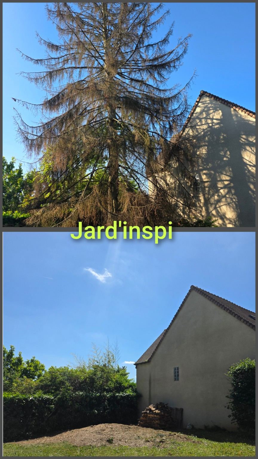 Photo de chantier Jard-inspi dans les Yvelines : élagage, taille, entretien, remise en état