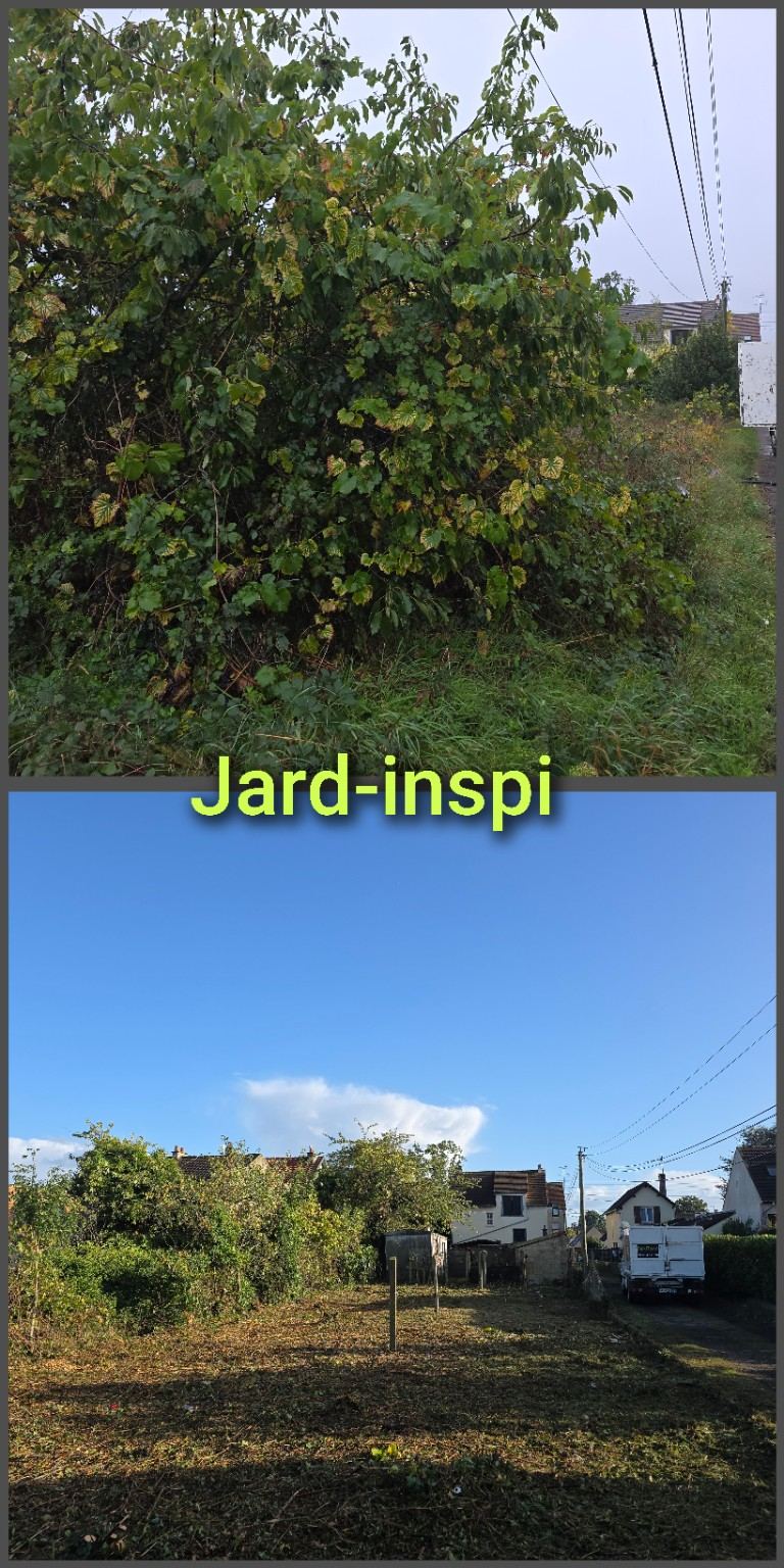 Photo de chantier Jard-inspi dans les Yvelines : élagage, taille, entretien, remise en état