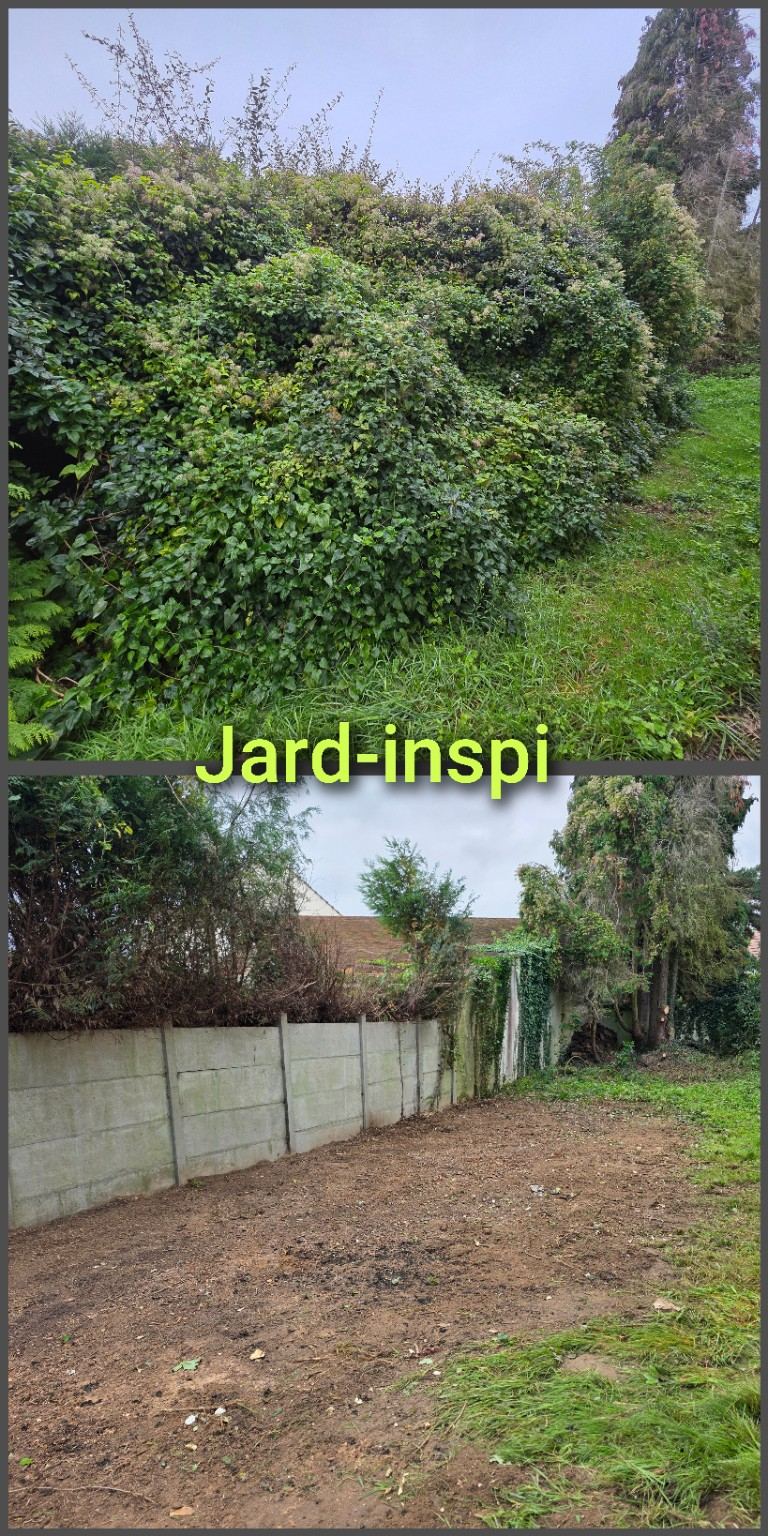 Photo de chantier Jard-inspi dans les Yvelines : élagage, taille, entretien, remise en état