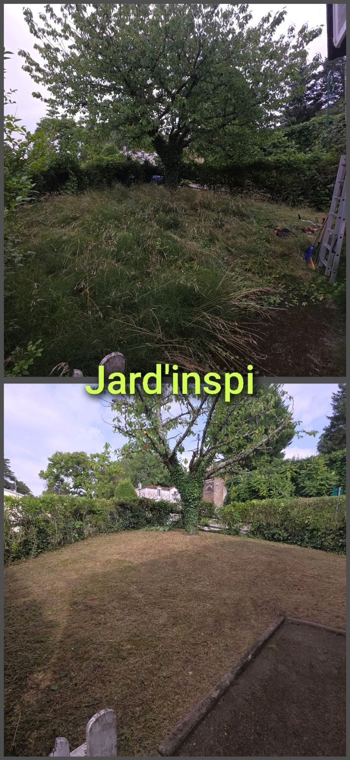 Photo de chantier Jard-inspi dans les Yvelines : élagage, taille, entretien, remise en état