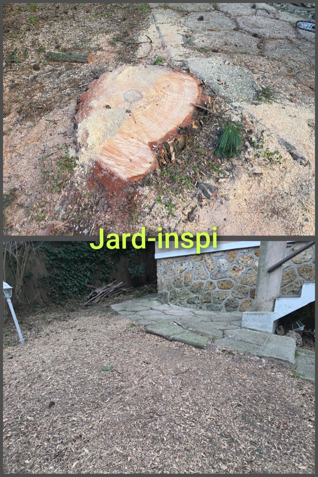 Photo de chantier Jard-inspi dans les Yvelines : élagage, taille, entretien, remise en état