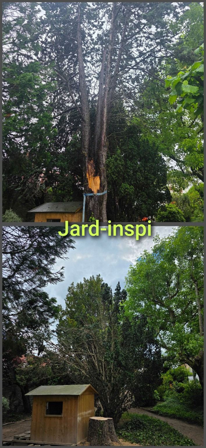 Photo de chantier Jard-inspi dans les Yvelines : élagage, taille, entretien, remise en état
